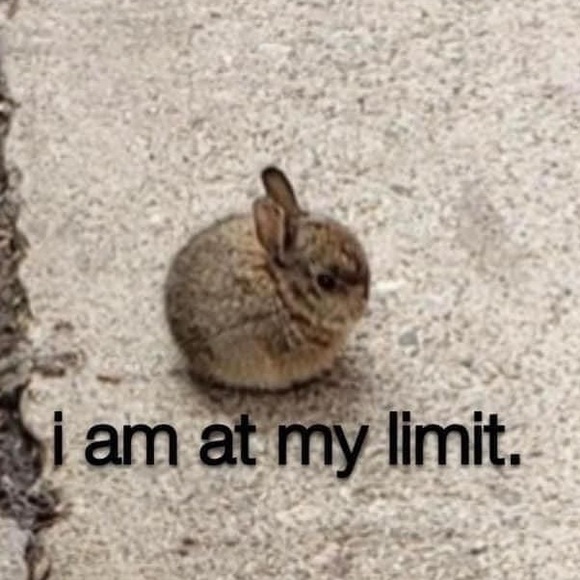 PISH POSH 🤭 tis Jackie. Nice to acquaint with you - Picture 2 of 8